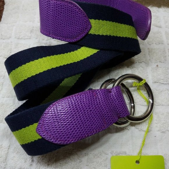 ETRO Milano Runway Belt Striped Double Ring Lizard Cinch - NWT main image 6